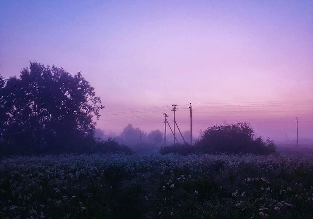 孙颖莎4比1大胜郑怡静，连续救擦网球，和陈幸同会师半决赛